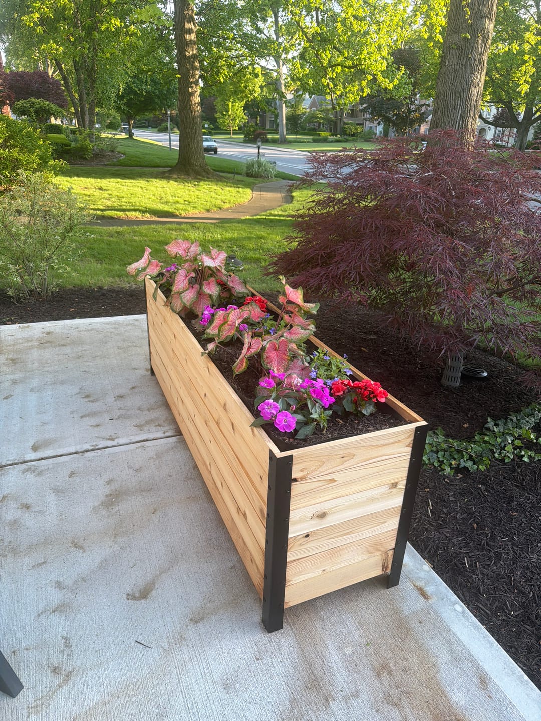 Customer photo review of 18" x 72" Planter Box - 24" TALL / Garden Grade