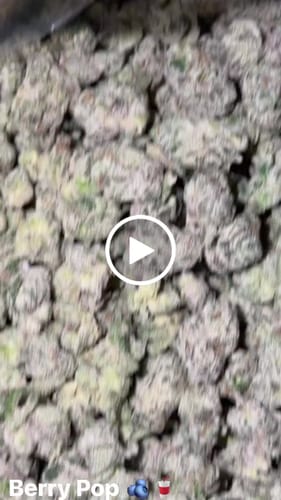 Boutique Exotics Berry Pop Minis - Großgebinde Minis - Hybrid photo review