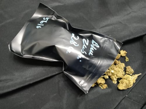 Customer photo review of Blue Zushi | Bottoms | Hybrid