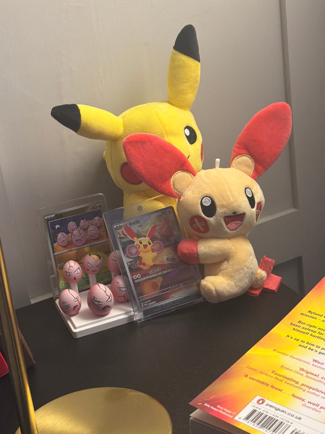 Customer photo review of Pokemon TCG Electric Plush Blind Box - Simplified Chinese