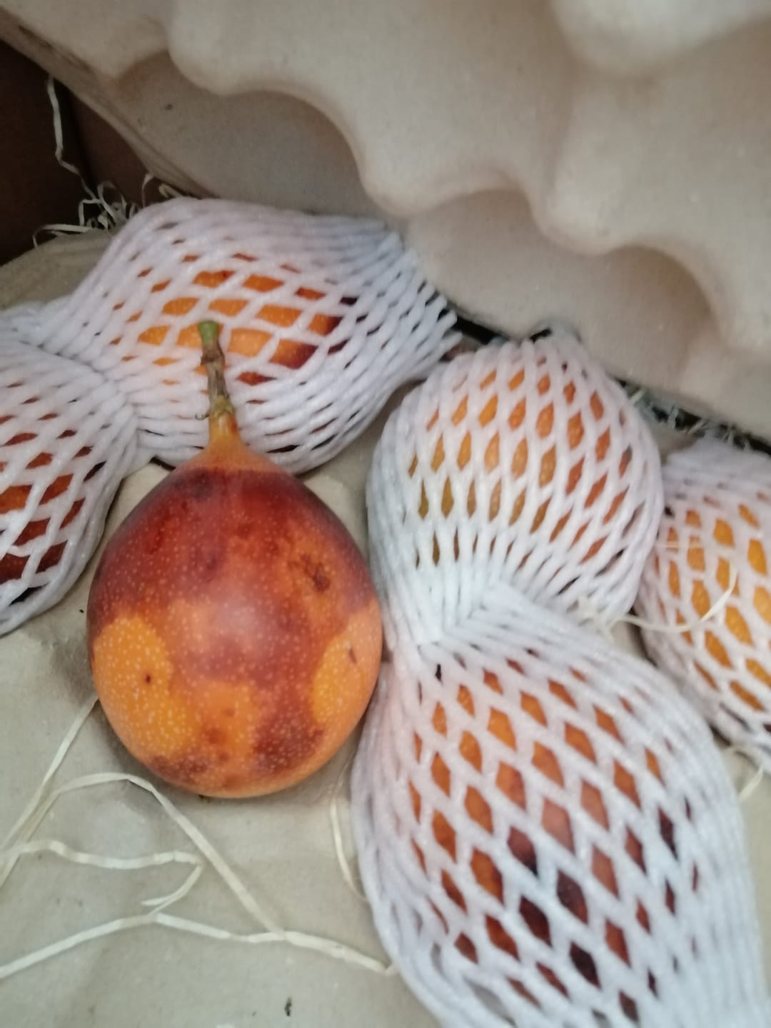 Customer photo review of Süße Granadilla Sonderaktion % 1,5kg