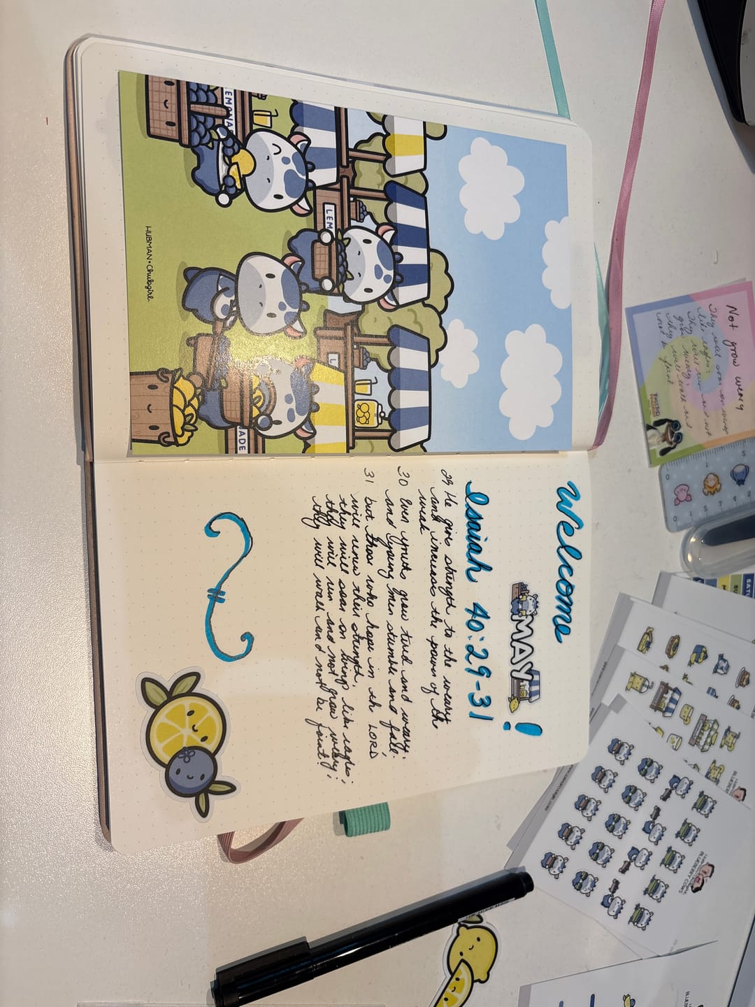 Customer photo review of Journal Subscription