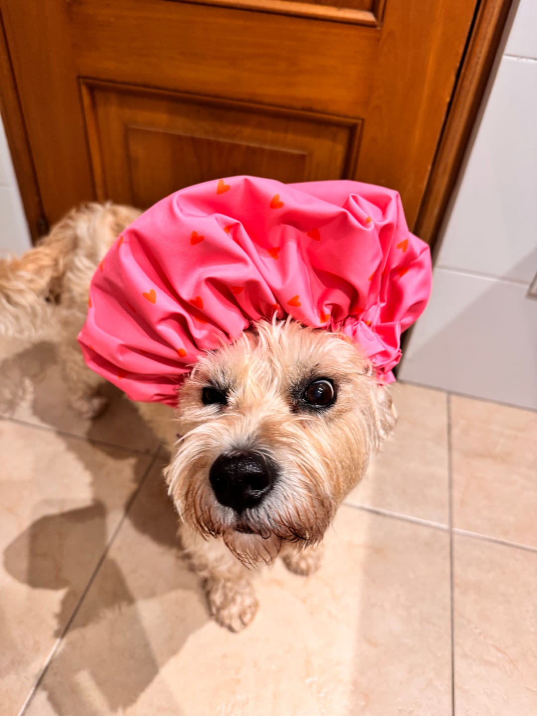Customer photo review of Gorro para ducha