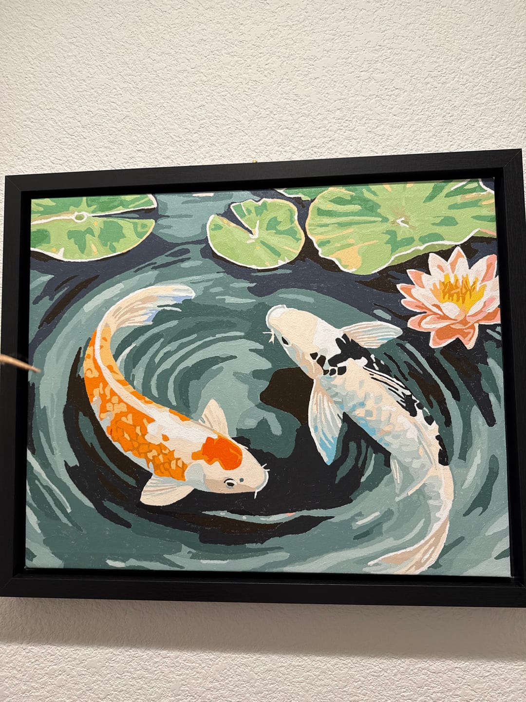 Customer photo review of Koi Harmony