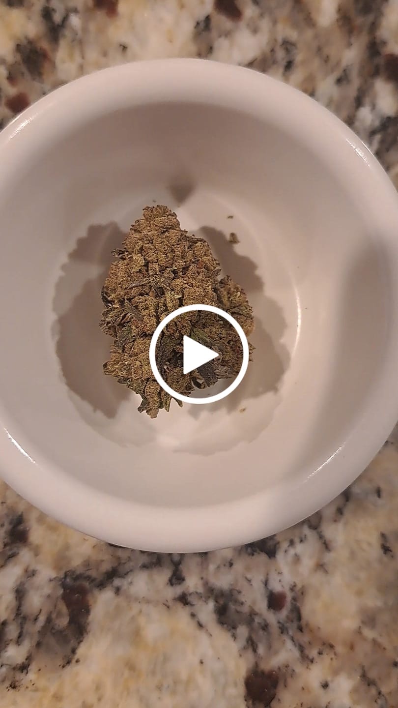 Customer video review of Greenhouse Flower