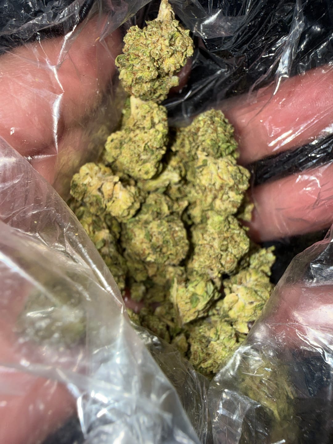Customer photo review of Jolly Ranchers Indoor - Bulk - Indica