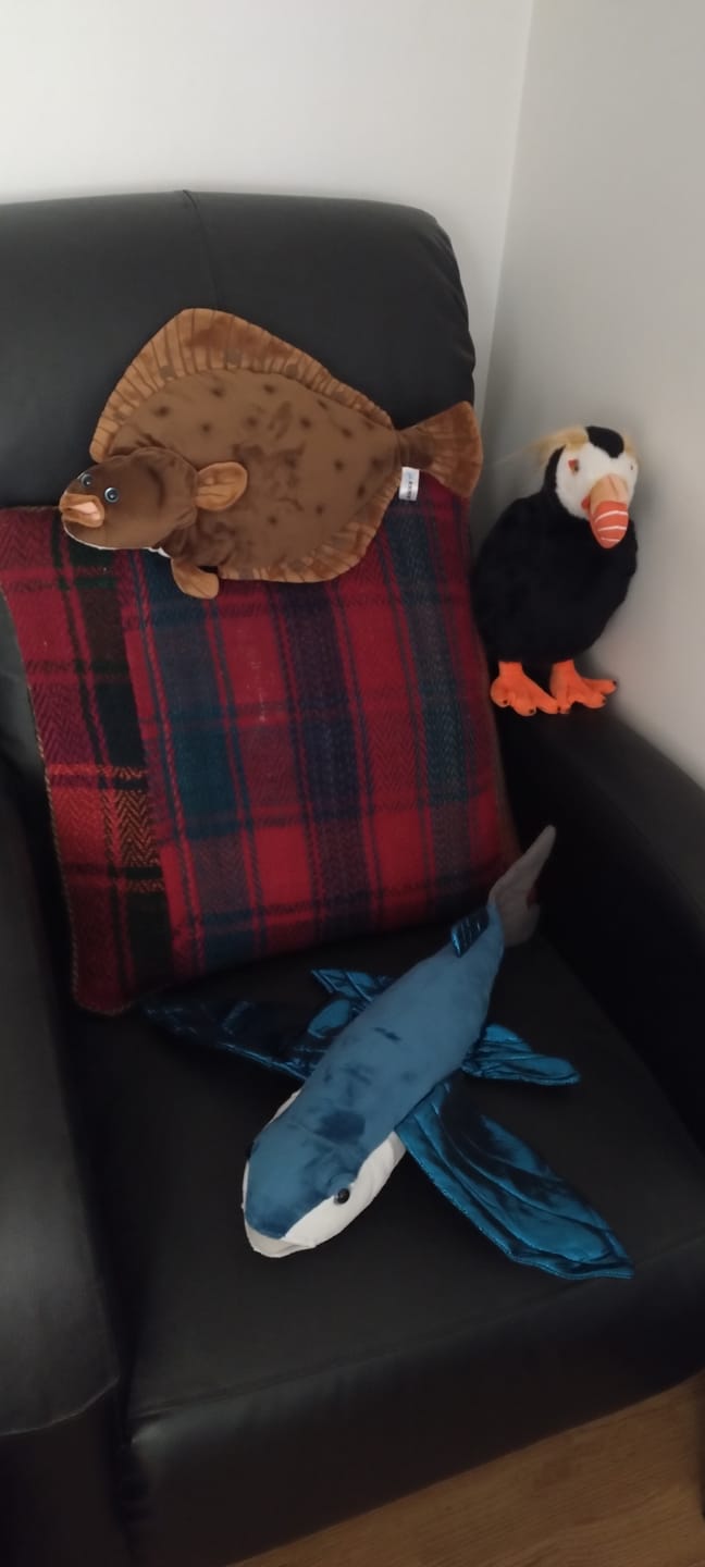Customer photo review of Flounder Flat Fish Soft Stuffed Plush Toy