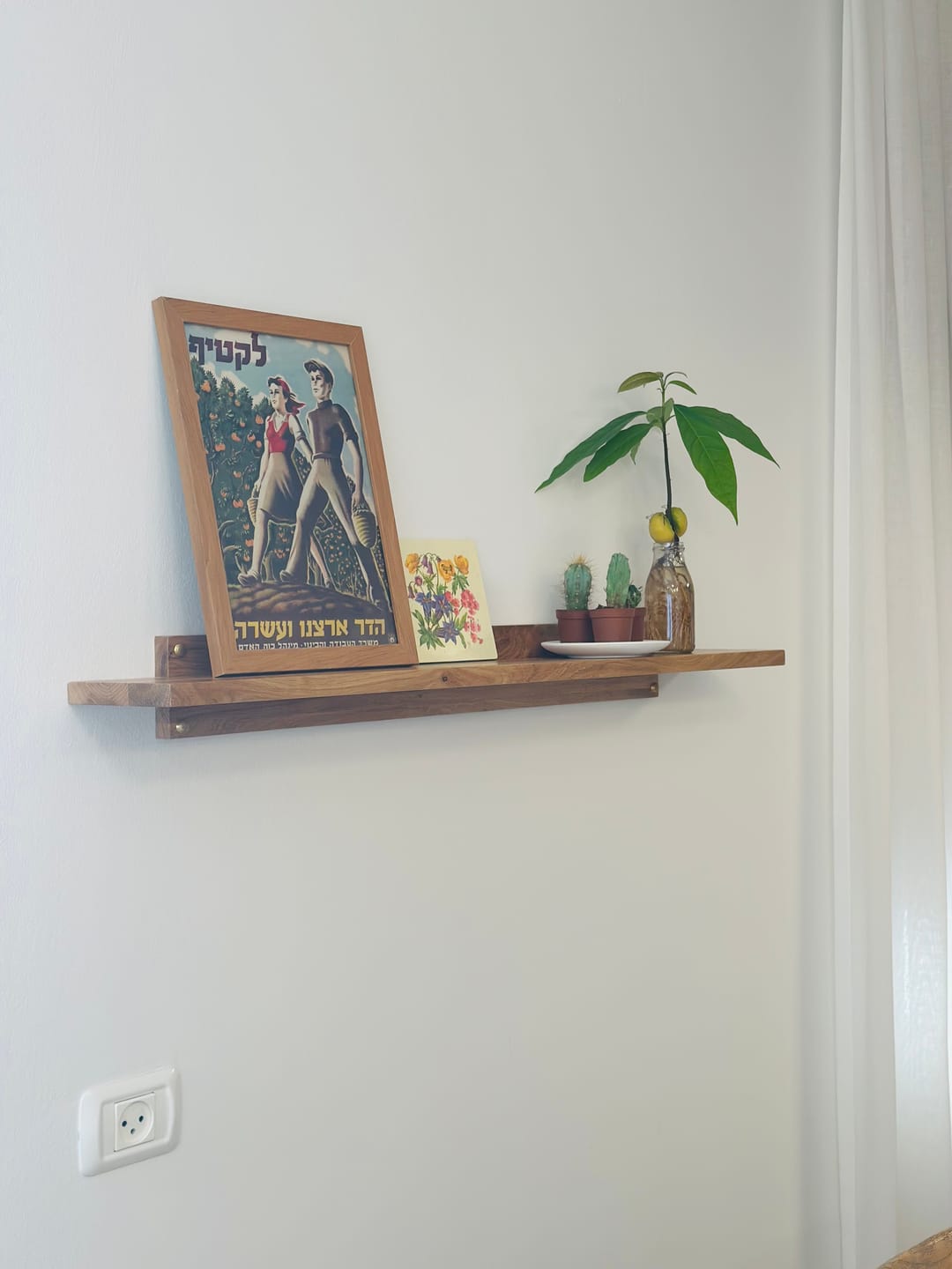 Customer photo review of מדף ALON