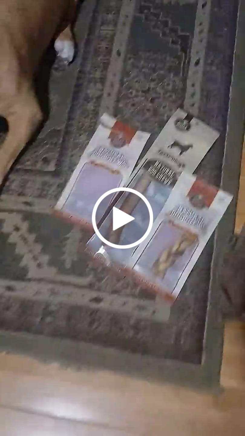 Customer video review of 6 Inch Standard Bully Stick