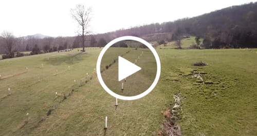 Customer video review of Hybrid Chestnut