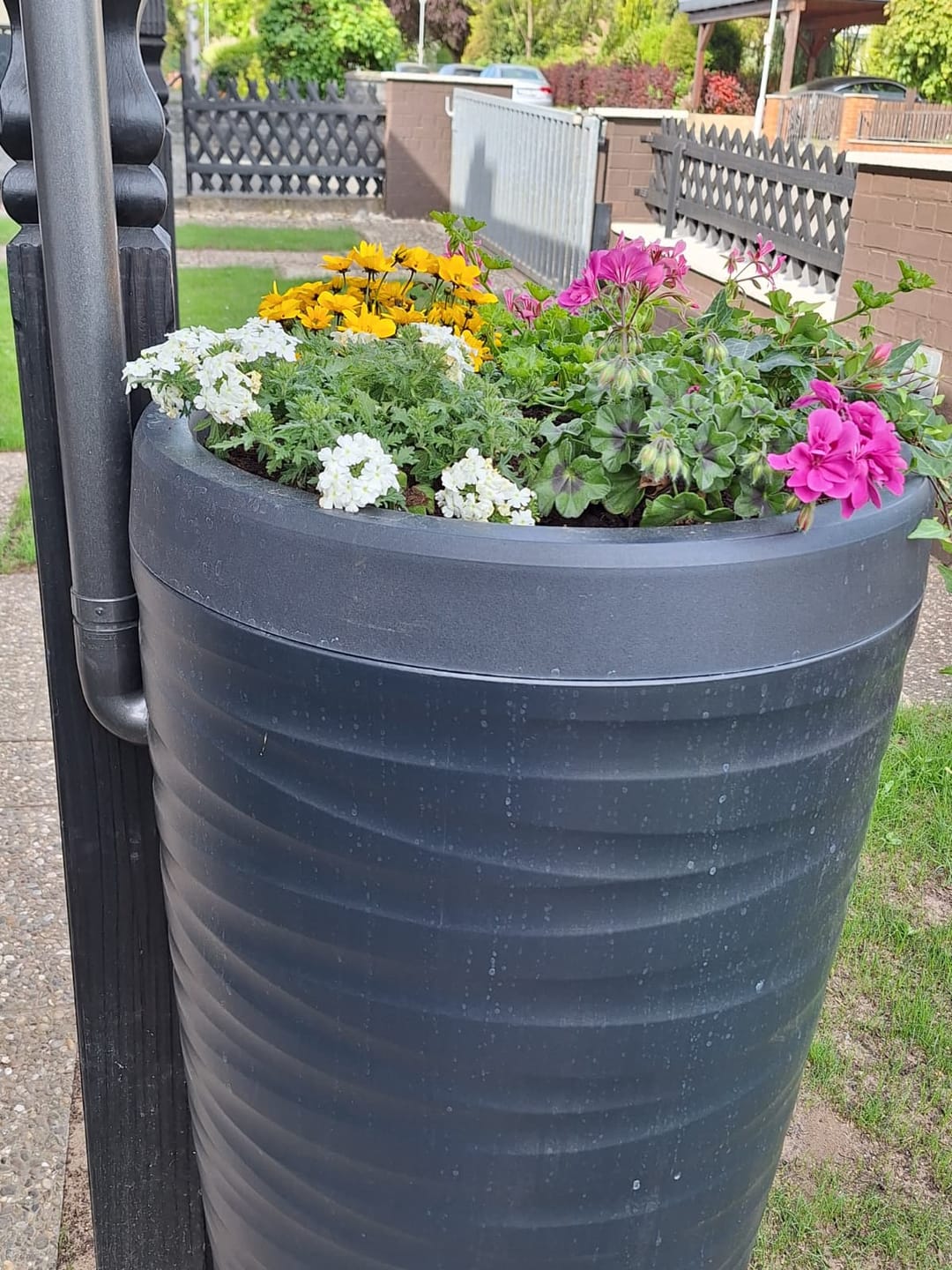 Customer photo review of Regentonne 240 Liter – modernes Wave-Design trifft nachhaltige Regenwassernutzung