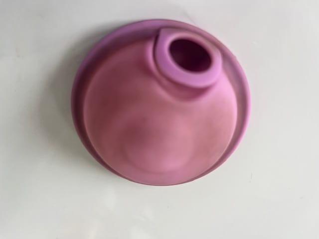 Customer photo review of femdisc Menstruationsscheibe mit Lasche