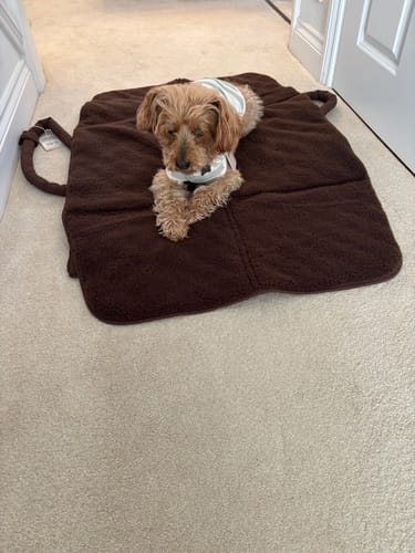 Customer photo review of Chocolate | The Quilted Settle Mat Tote