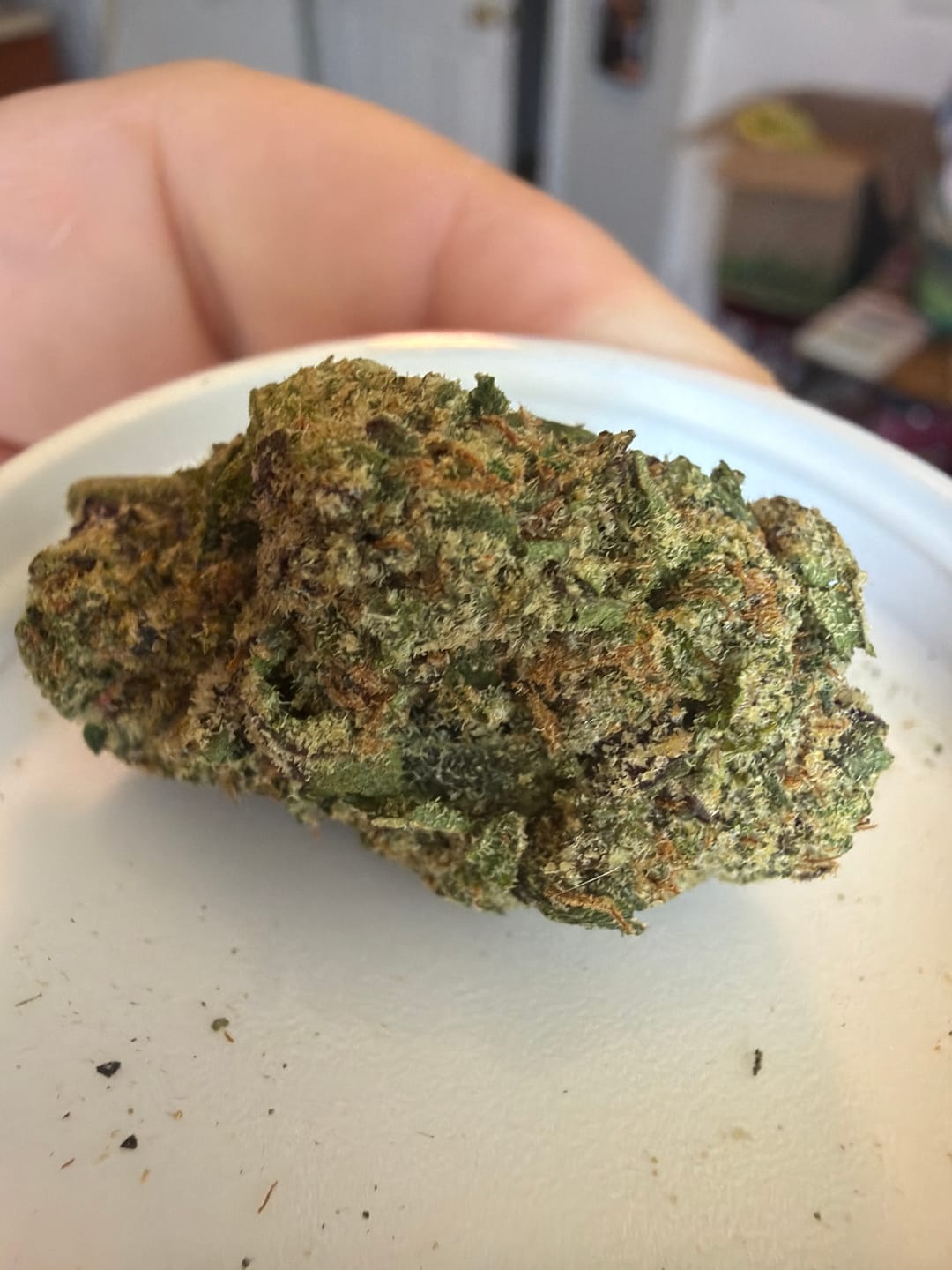Customer photo review of Boutique Exotics - Coffin Candy - 4 Grams - Hybrid