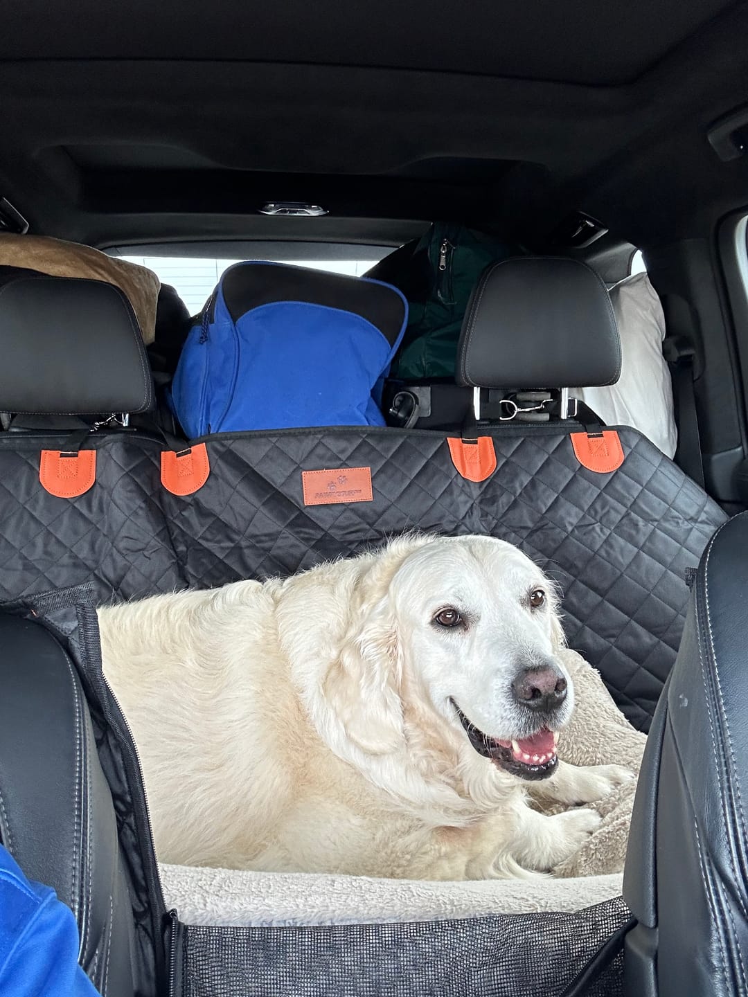 Customer photo review of CozyRider™ 2.0