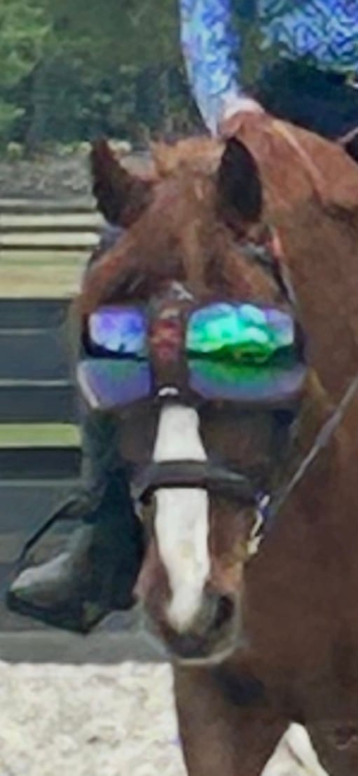 Customer photo review of eVysor - UV Horse Riding Goggles!