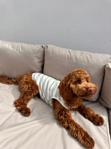 Customer photo review of Matcha Stripe | Summer Breeze Cooling Vest