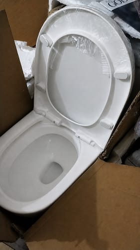 Customer photo review of Alesund - Ceramic One-Piece S-Trap Dual-Flush Elongated Toilet Bowl with Modern Design