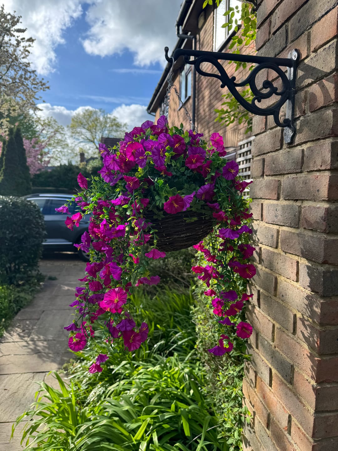Customer photo review of Outdoor Hanging Petunia Basket - Purple