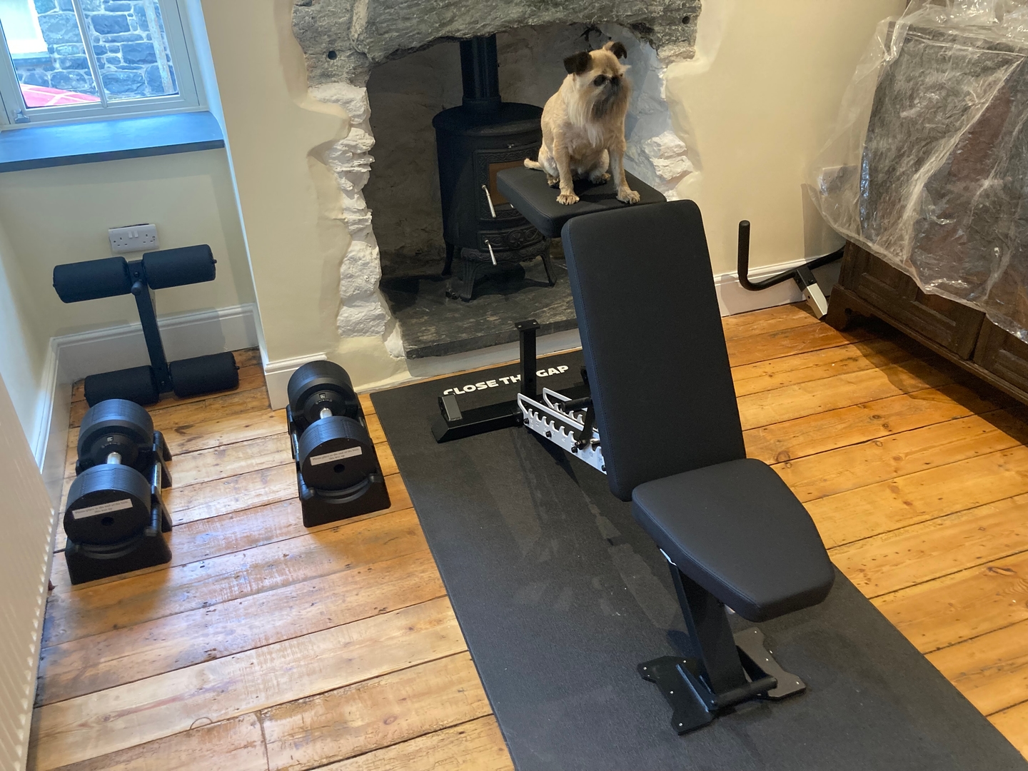 Owner photo of ABX Weight Bench