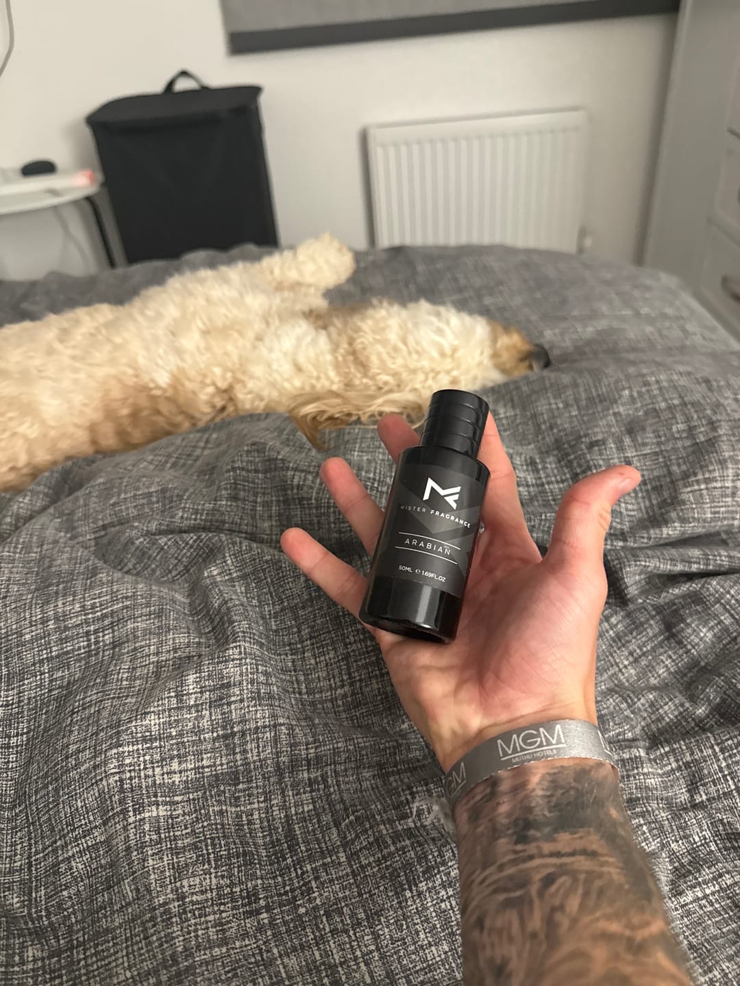Customer photo review of Arabian