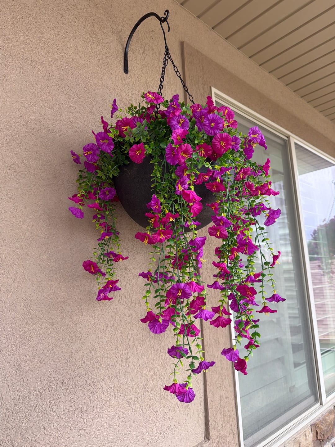 Customer photo review of Outdoor Hanging Petunia Basket - Purple