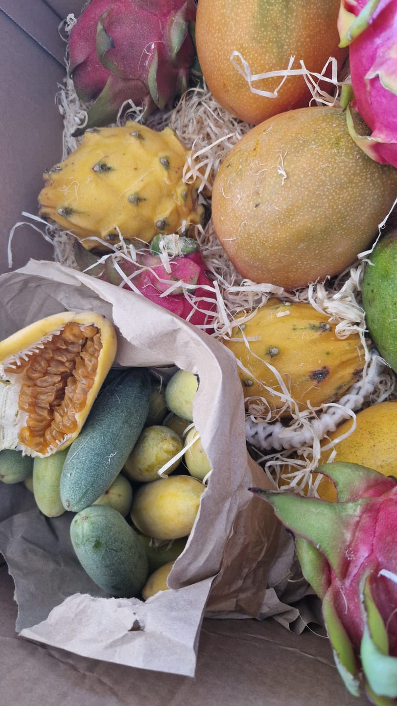 Customer photo review of Drachenfrüchte Trio Box Sonderaktion %
