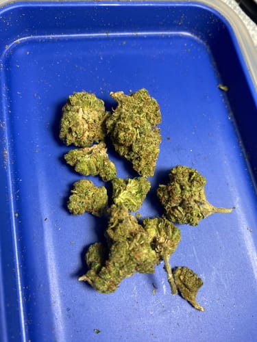 Super Lemon Haze - Minis - 28 Grams - Sativa photo review