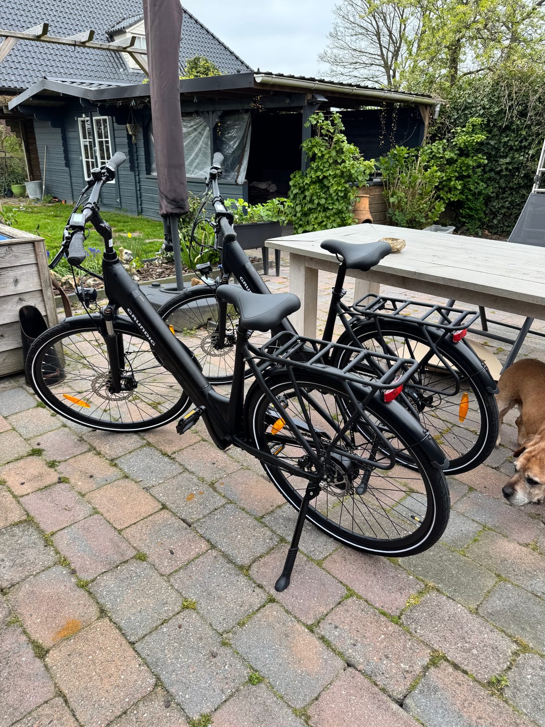 Customer photo review of 【Vorbestellung】GRUNDIG ECB28 E-Bike 2026er Neuauflage