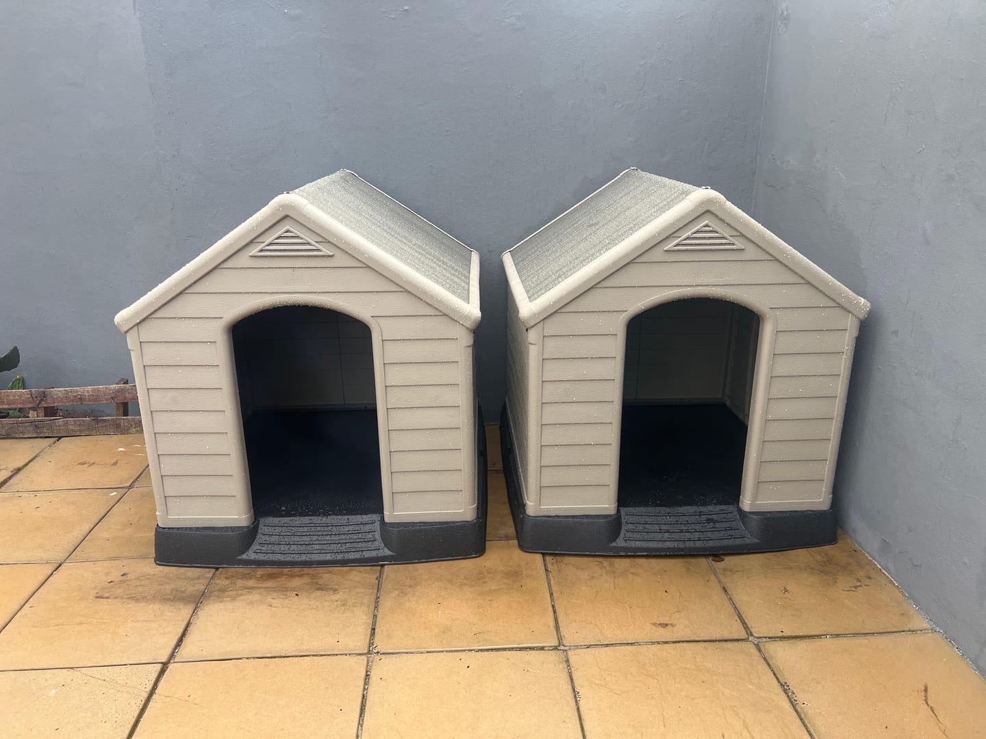 Customer photo review of Dog House