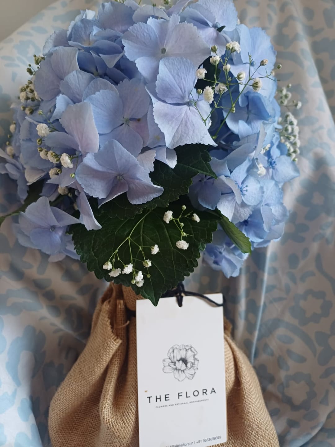 Customer photo review of Passing Cloud