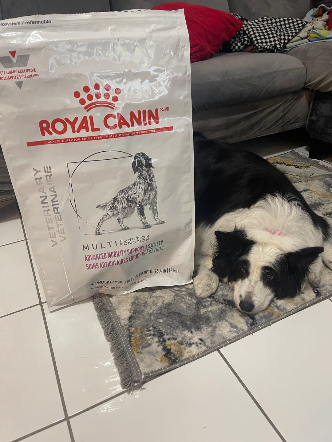 Customer photo review of Royal Canin Veterinary Diet - Advanced Mobility Support + Satiety by Royal Canin