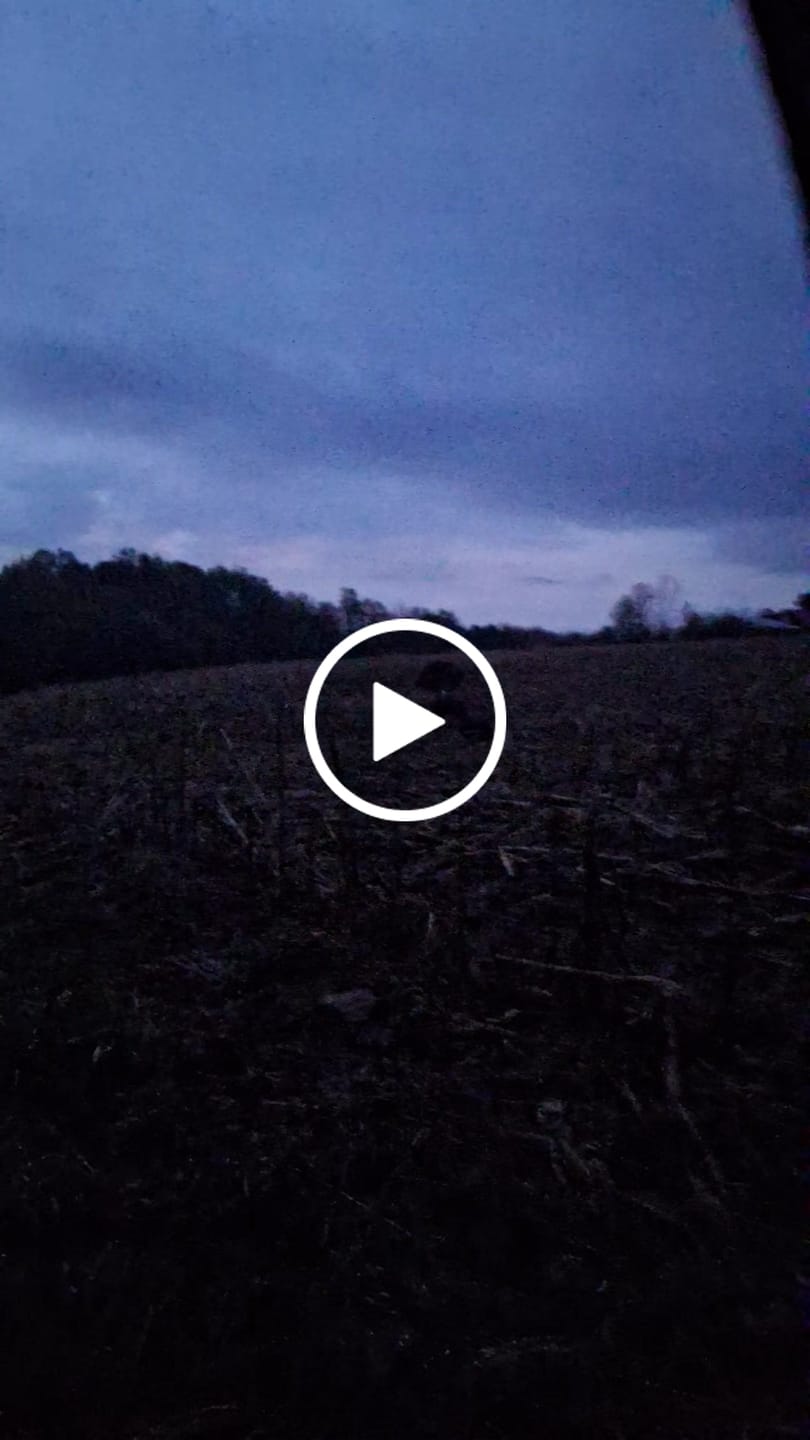 Customer video review of VisST 270° See Through Ground Blinds | Pop Up Portable Blinds for 2 3 Person Deer Hunting with Silent Magnetic Door