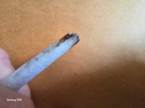 Customer holding a partially smoked joint of Cookies N’ Cream in a close-up image.