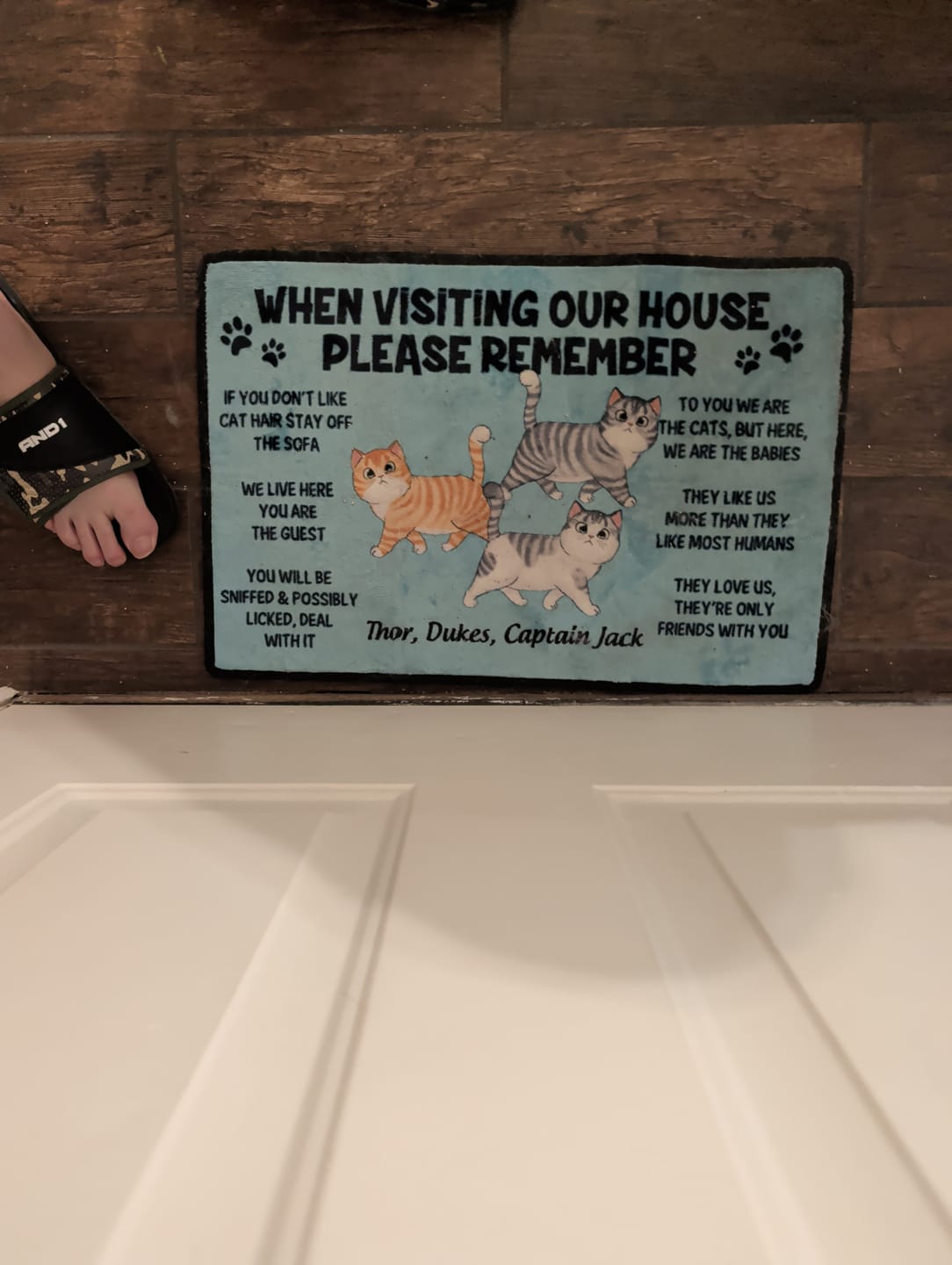 Customer photo review of Please Remember When Visiting Cats House Personalized Doormat