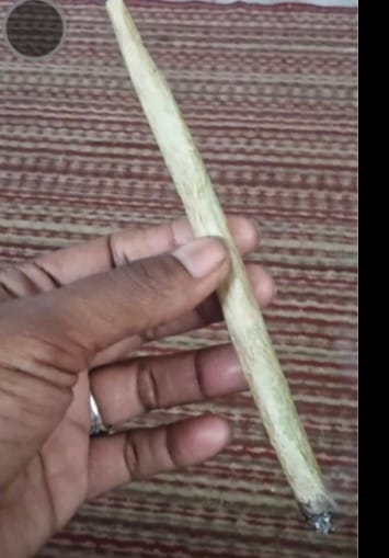 Customer photo review of Paris OG Indoor Exotic THCA Flower Full Size Buds