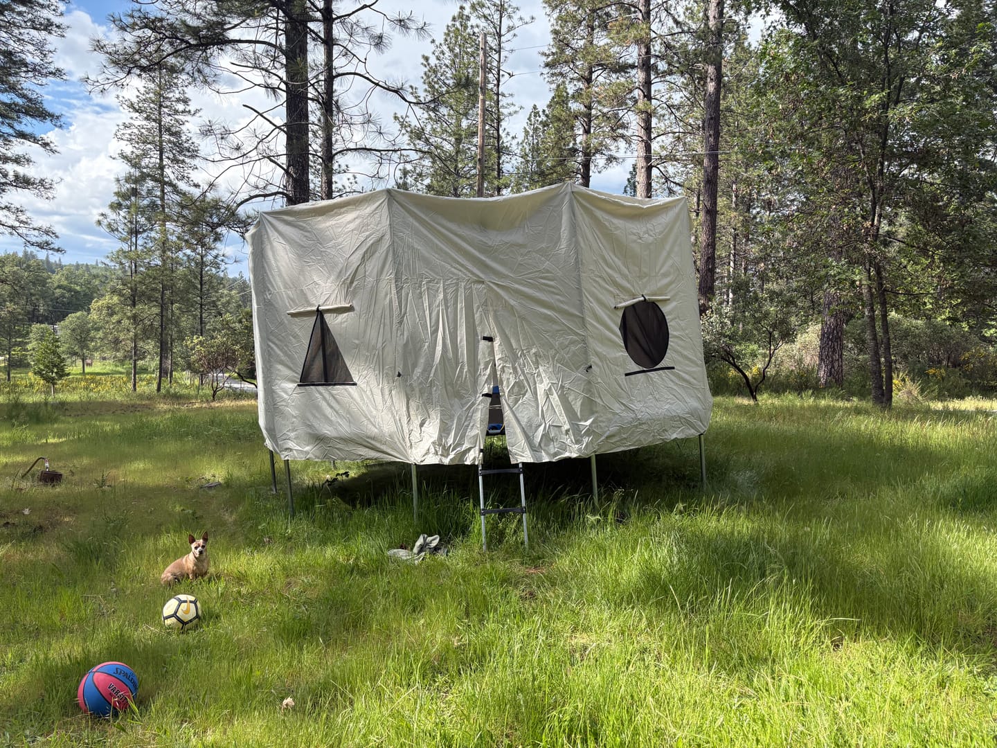 Customer photo review of Trampoline Customizable Tent for 15FT Trampoline