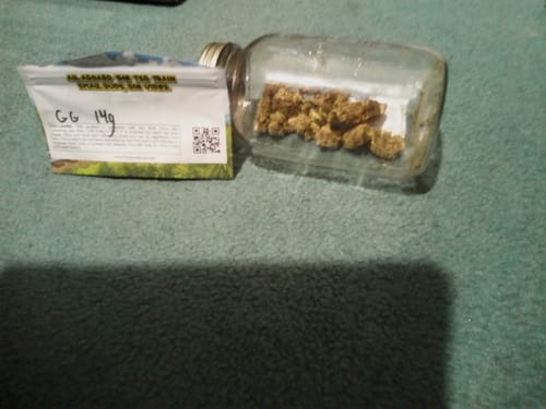 Customer photo review of Gorilla Glue THCA Flower