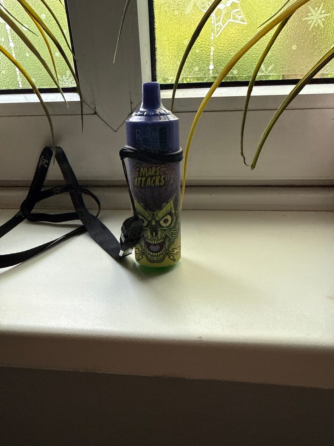 Customer photo review of RandM Tornado 9000- Blueberry Ice