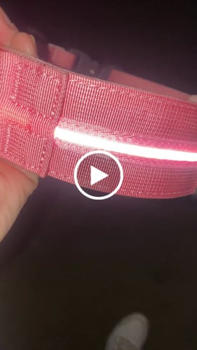 Customer video review of 5cm Light Up LED Combat® Collar | Handle - Pink