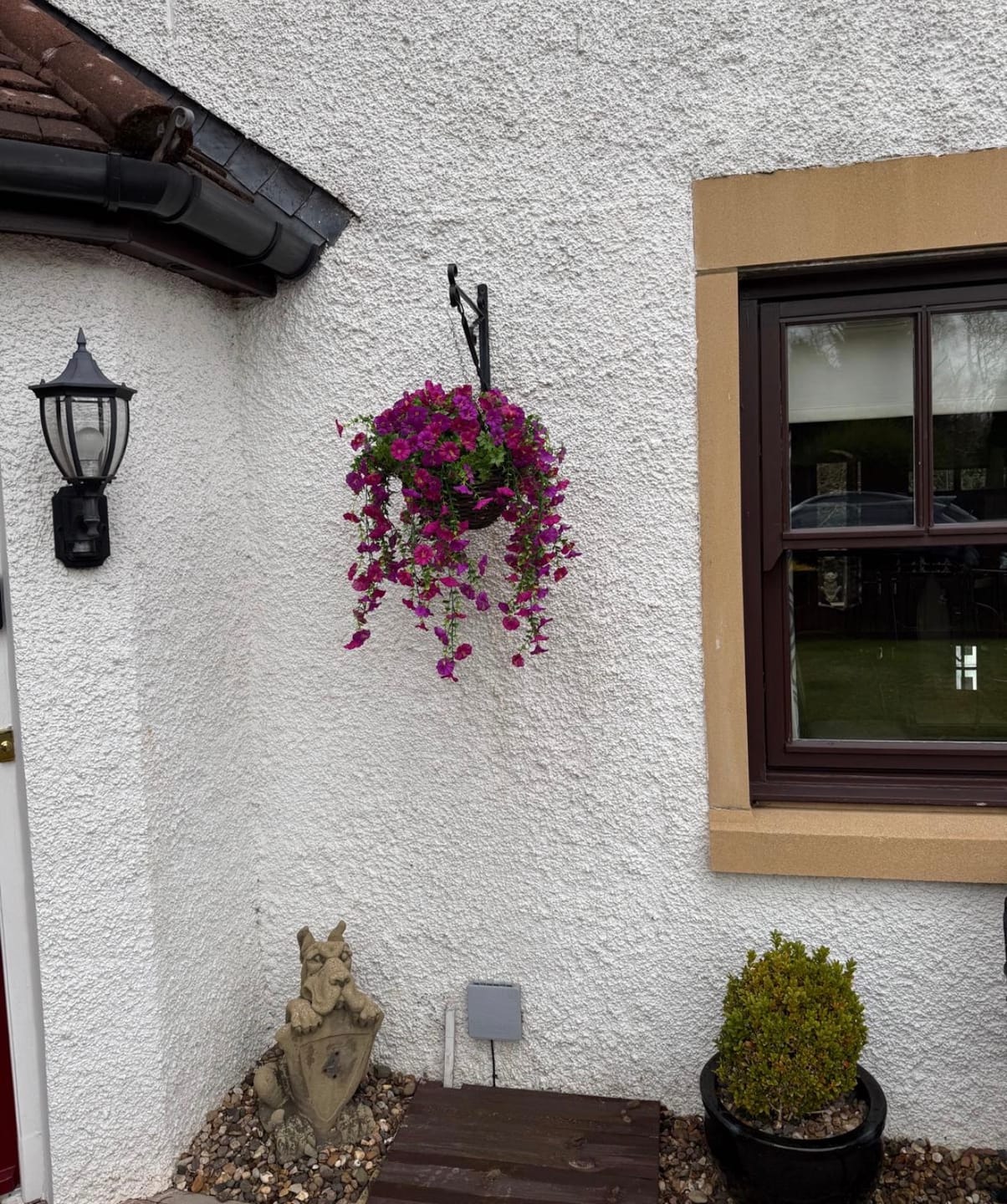 Customer photo review of Outdoor Hanging Petunia Basket - Purple