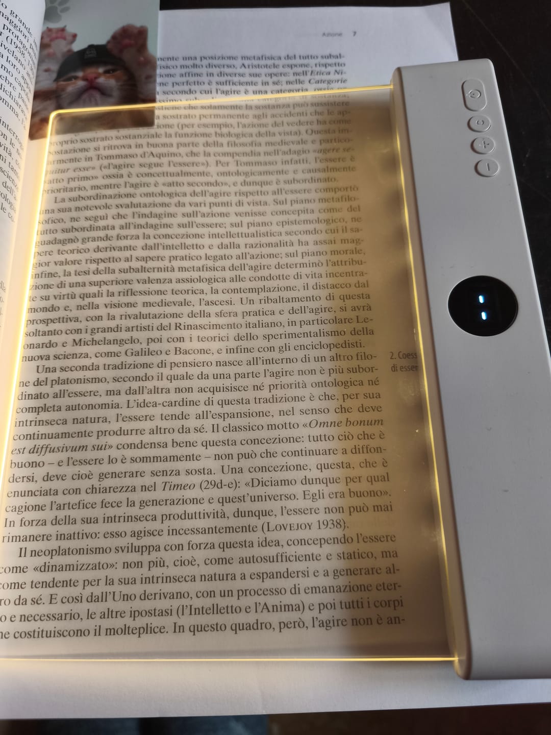 Customer photo review of Lampada da Lettura LED Trasparente