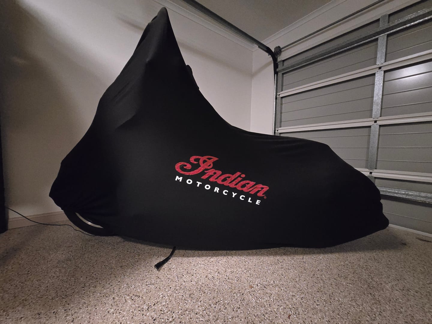 Customer photo review of Indoor Custom Motorcycle Covers