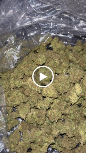 Orange Creamsicle Indoor - Bulk - Sativa photo review