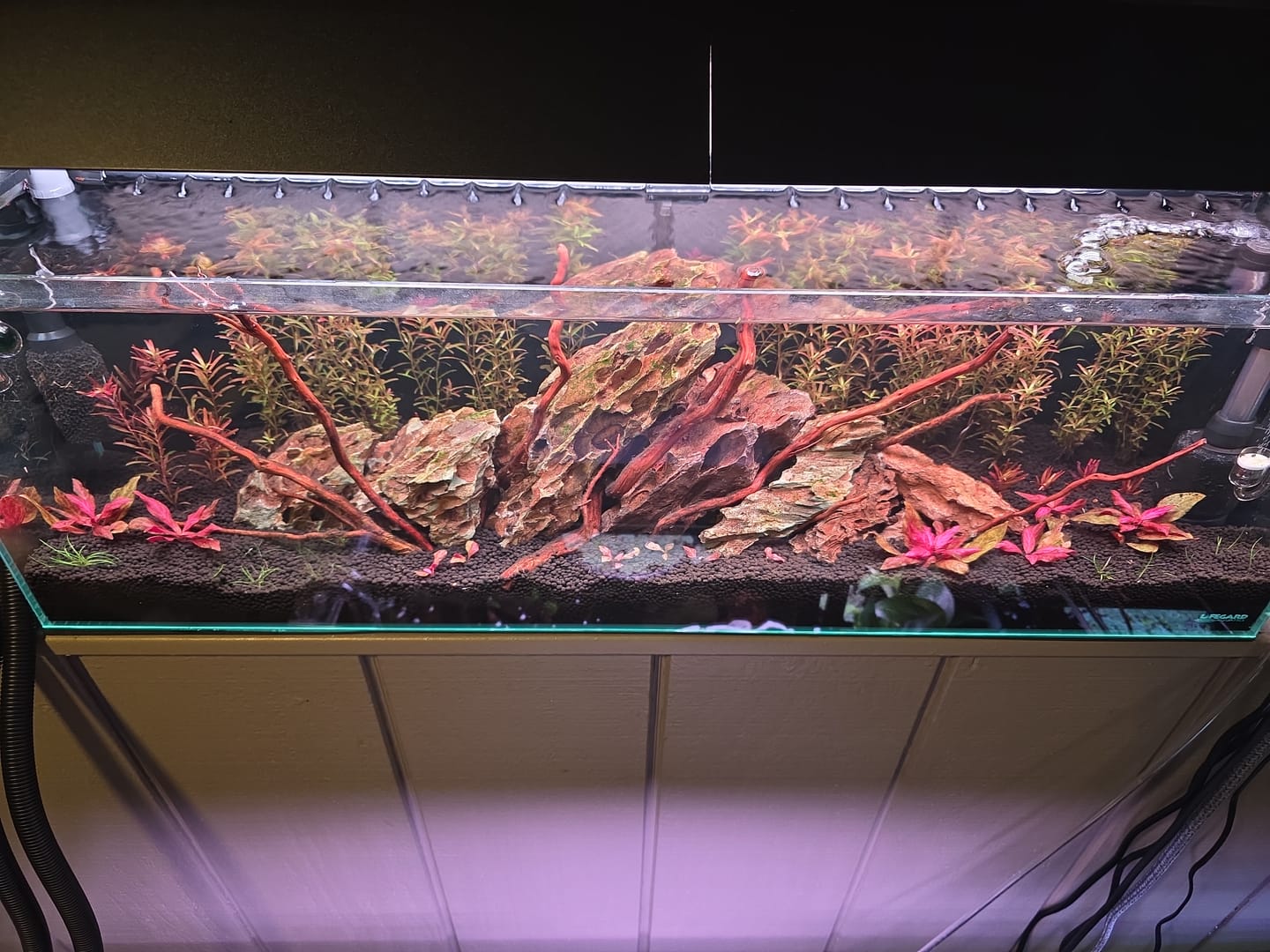 Customer photo review of Chihiros WRGB II Pro LED Light