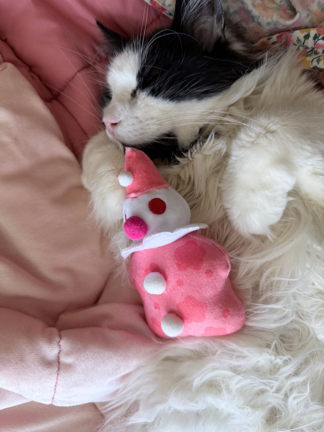 Customer photo review of Cute Lil Clown Plushies!