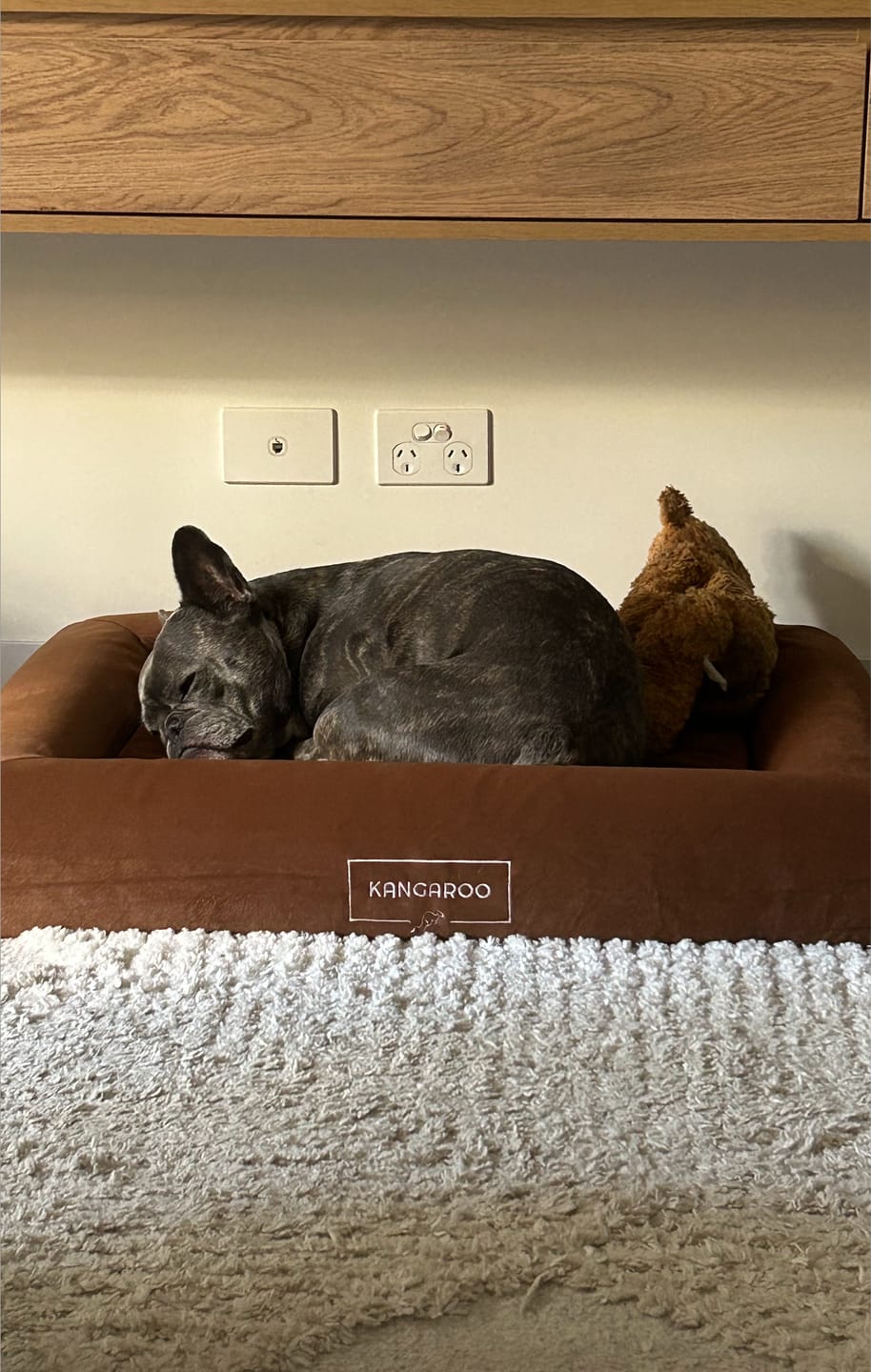 Customer photo review of Orthopaedic Memory Foam Dog Bed