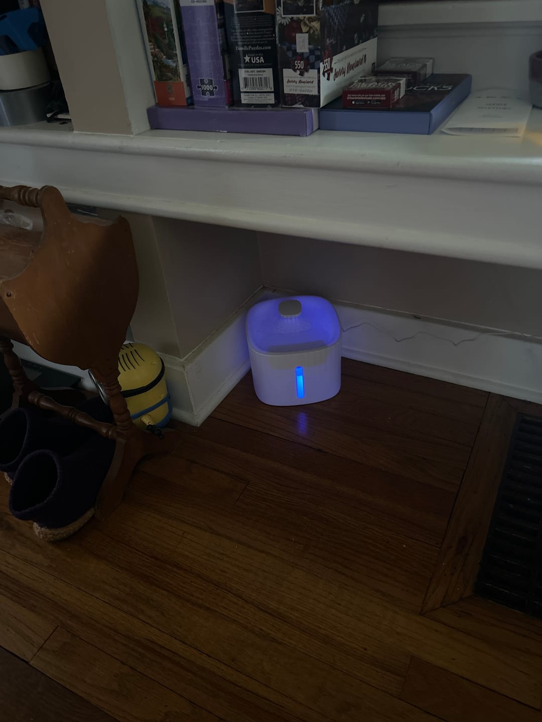 Customer photo review of Cat Water Fountain
