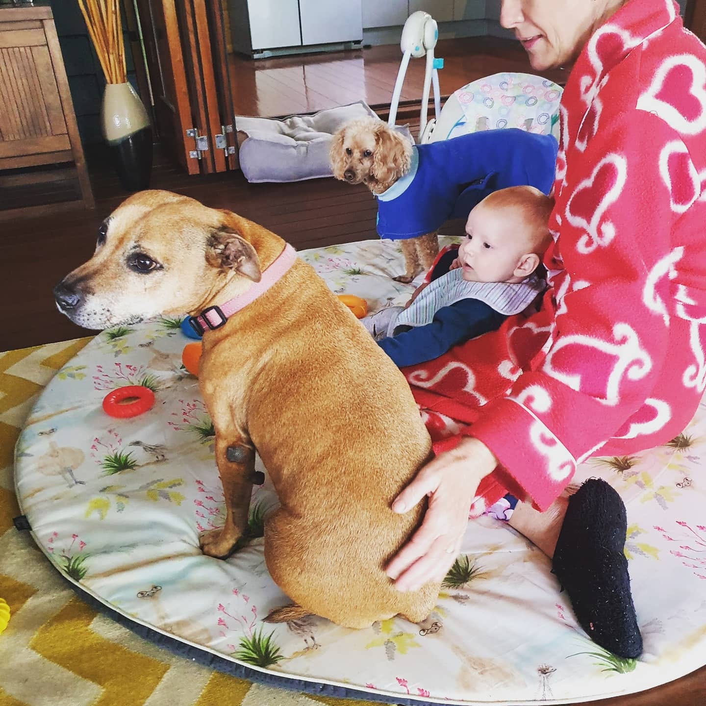 Customer photo review of Rosella Baby Play Mat