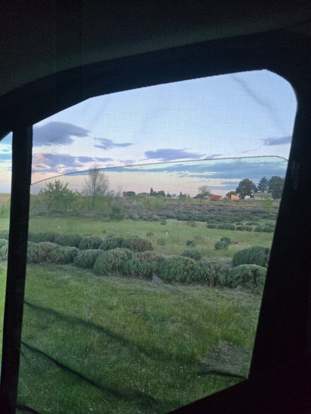 Customer photo review of Ford Transit - Front Door Mosquito Net (set)